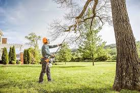 Best Tree and Shrub Care  in Garden City, SC